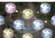 《星星专属神器攻略手游》（打造最强角色，征服无尽挑战）
