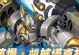 全面攻略塔克林（解密塔克林的技巧和策略，让您在游戏中脱颖而出）