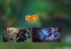 《以刀剑劫手游攻略》（探索无尽的冒险世界，打造最强战队！）