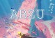 《探索神秘的海底世界——abzu手游攻略大揭秘》（用行动与想象开启海洋奇迹之门，畅游abzu世界）