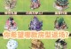 探秘2009奥比岛攻略（揭秘神秘迷人的奥比岛，畅游与探索的绝佳目的地）