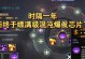 生死阻击手游白嫖金币攻略（游戏金币充值零压力，玩转生死阻击的秘籍大揭秘！）