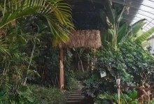 玩转QQ农场通天塔攻略（打造最强农场升级之路，快速提升收益）