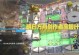 《方舟攻略手游地牢全面解析》（揭秘地牢探索技巧，带你玩转方舟世界）