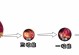 《全面解析新版无尽猴子铭文出装攻略》（从铭文选择到出装搭配，助你成为无尽猴子的终极玩家）
